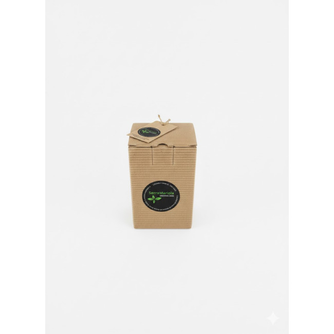 PACK  MIEL  ROMERO  500 + PALITO DE REGALO